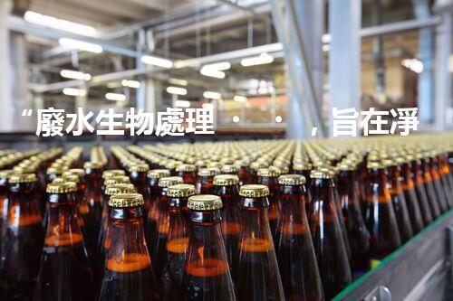 “廢水生物處理，旨在凈化水源，守護(hù)碧水藍(lán)天”